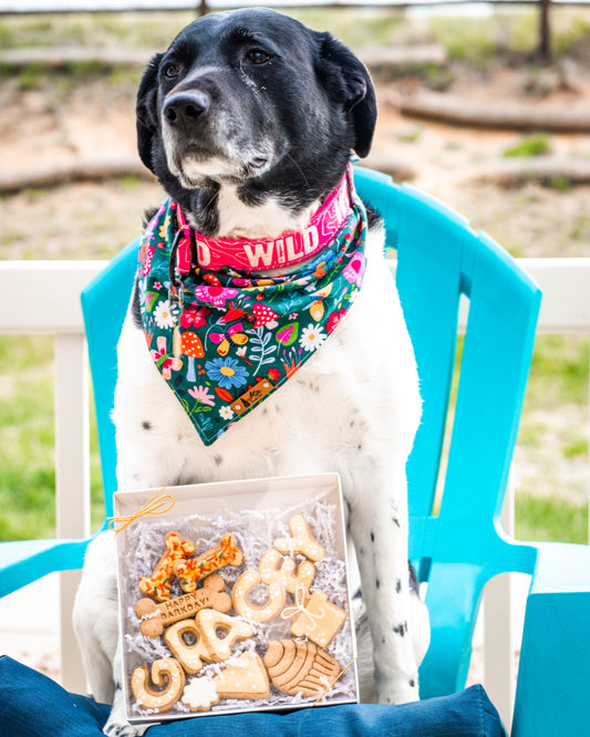 Deluxe Celebration Box