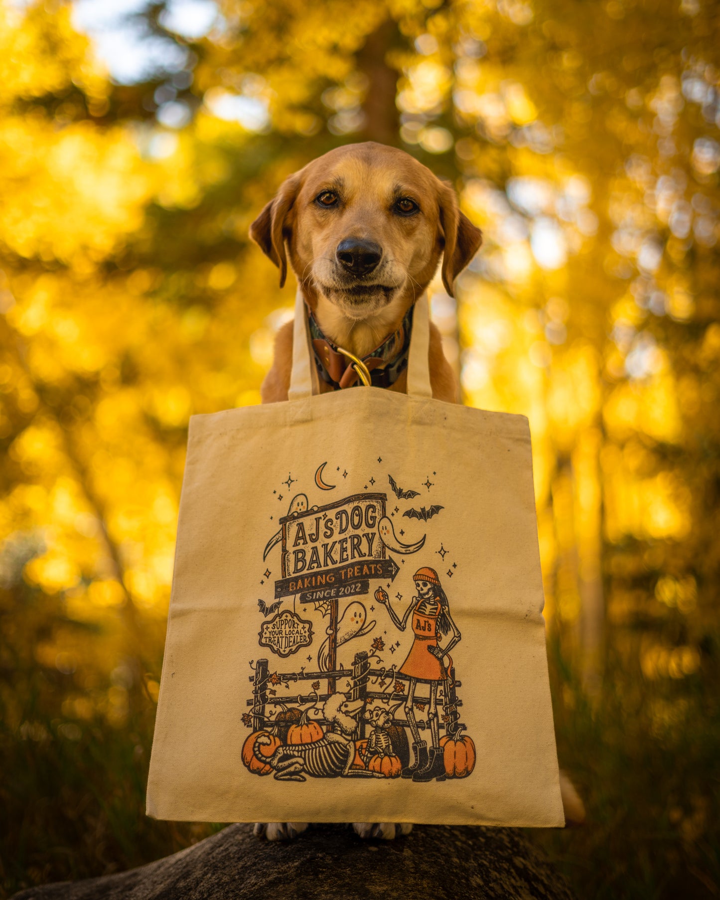 2025 Anniversary Tote