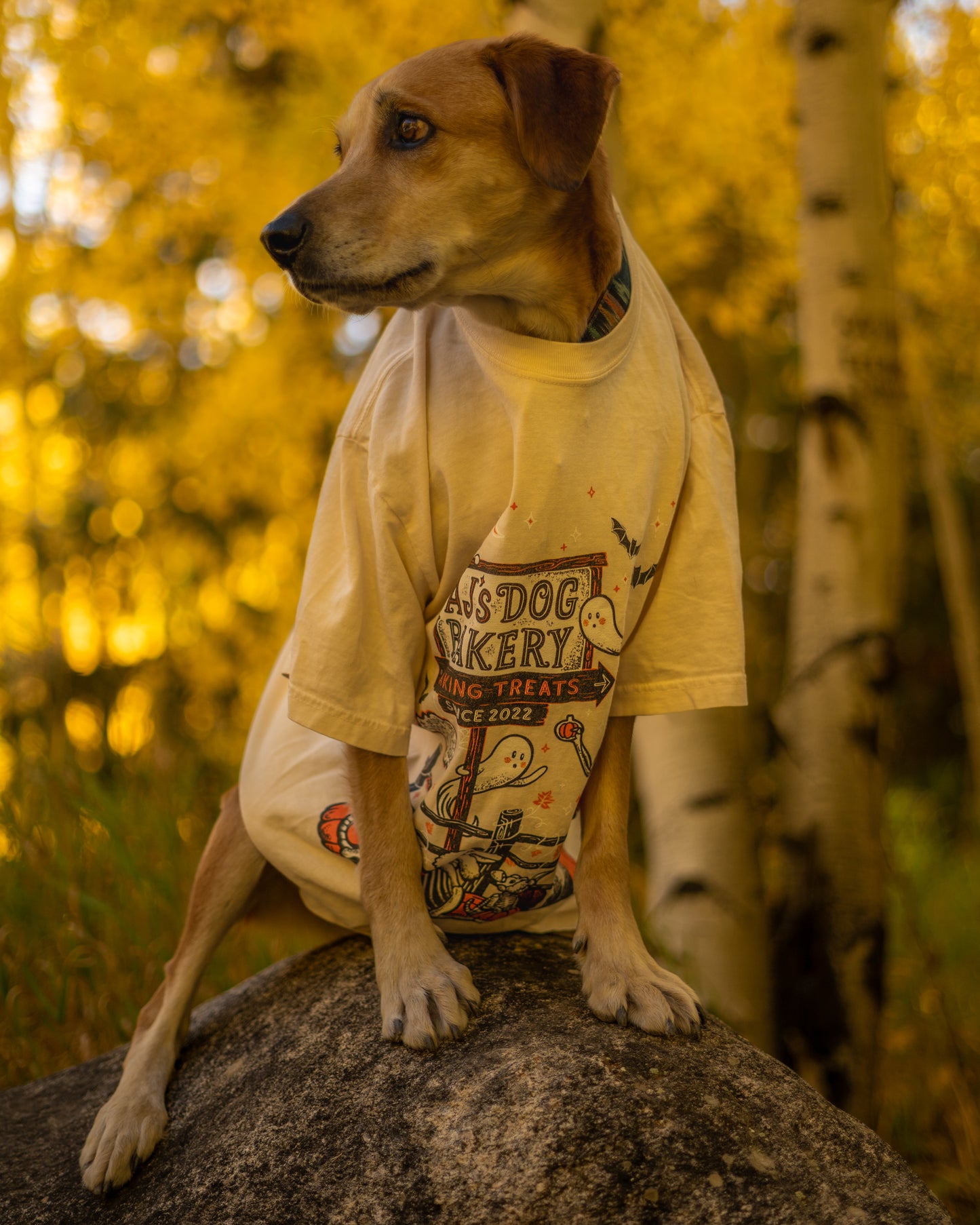 2025 Spooky Anniversary Ivory T-Shirt