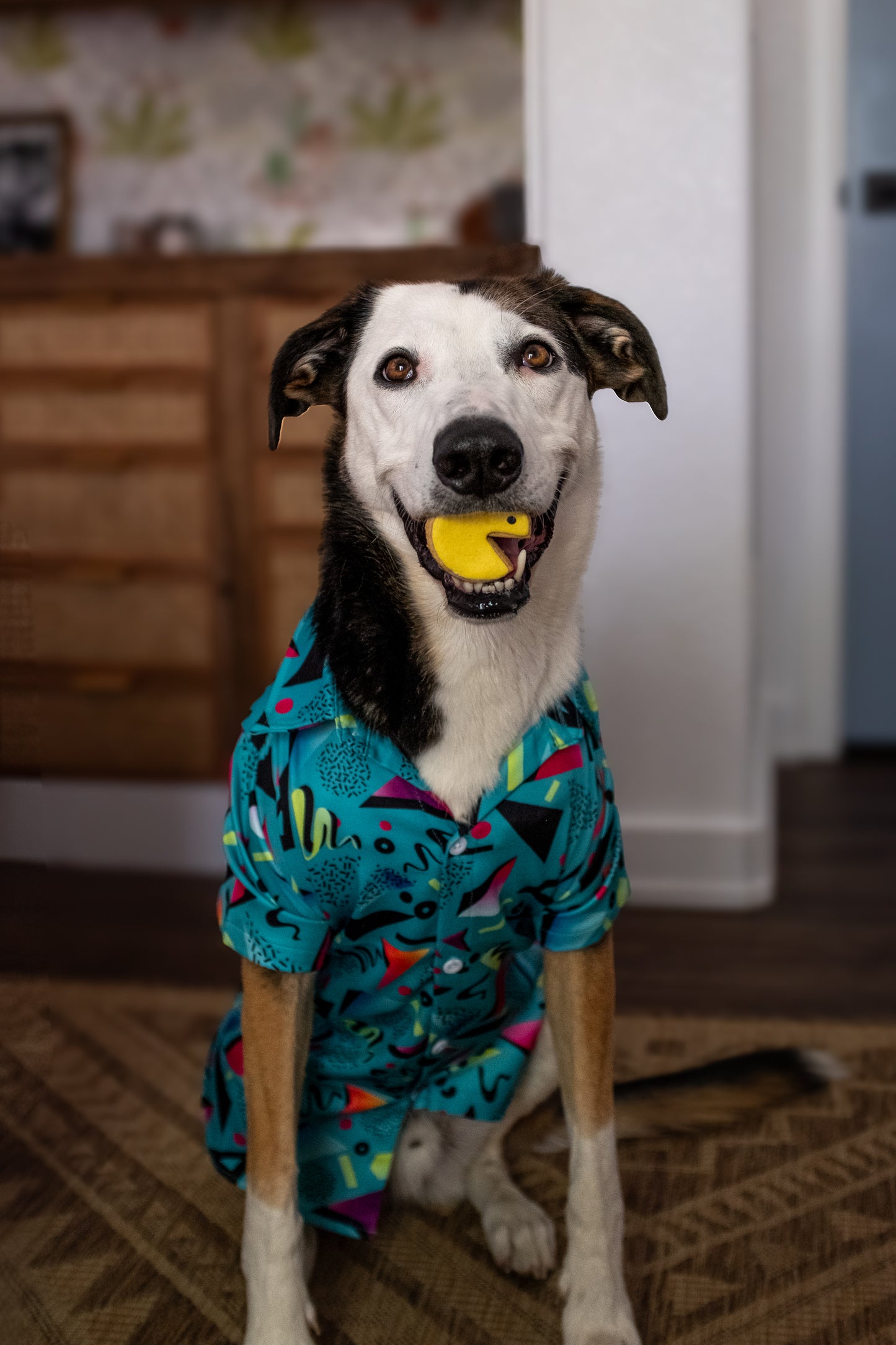 Snack-Man