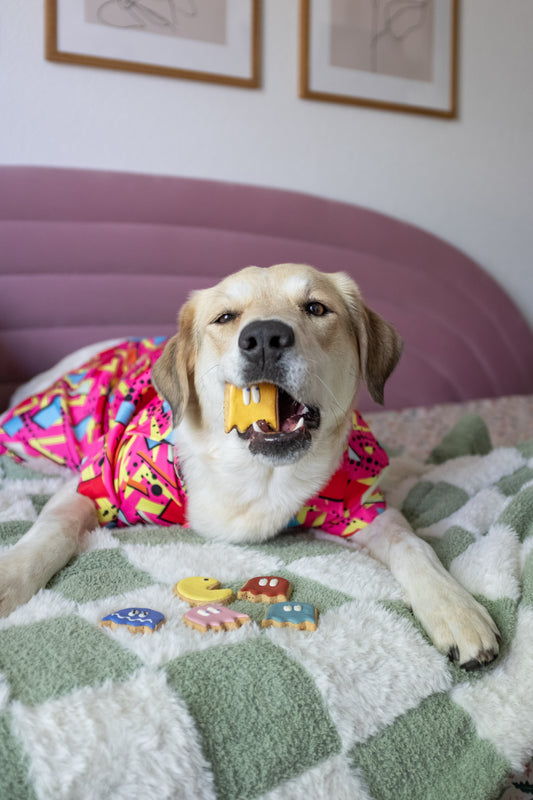 Snack-Man Deluxe Box