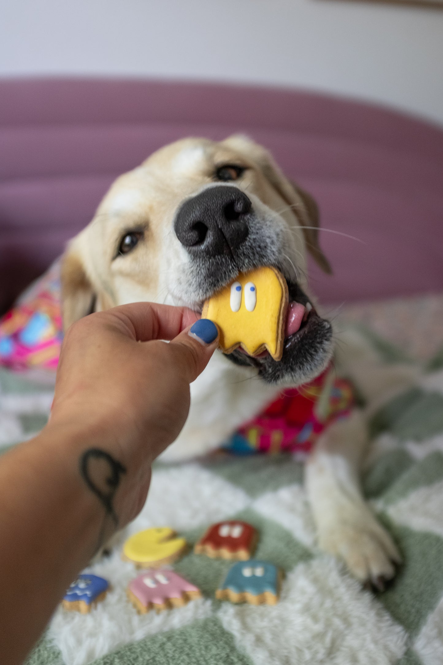 Snack-Man