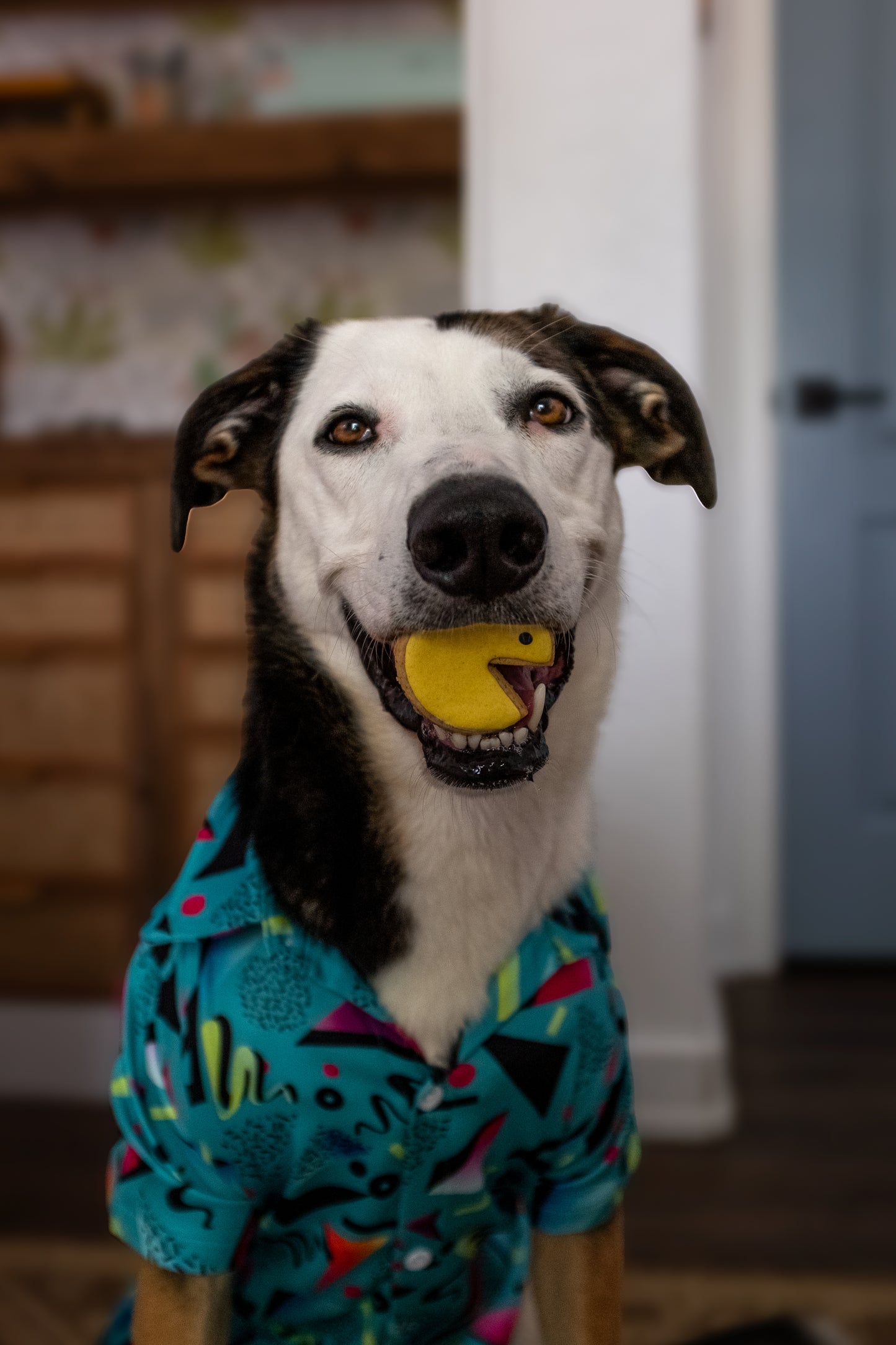 Snack-Man