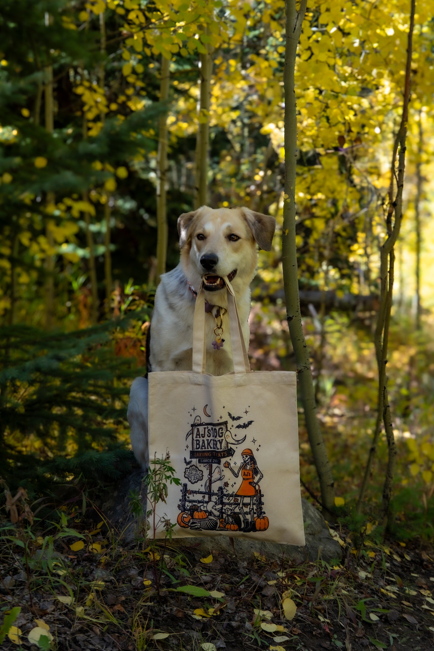 2025 Anniversary Tote