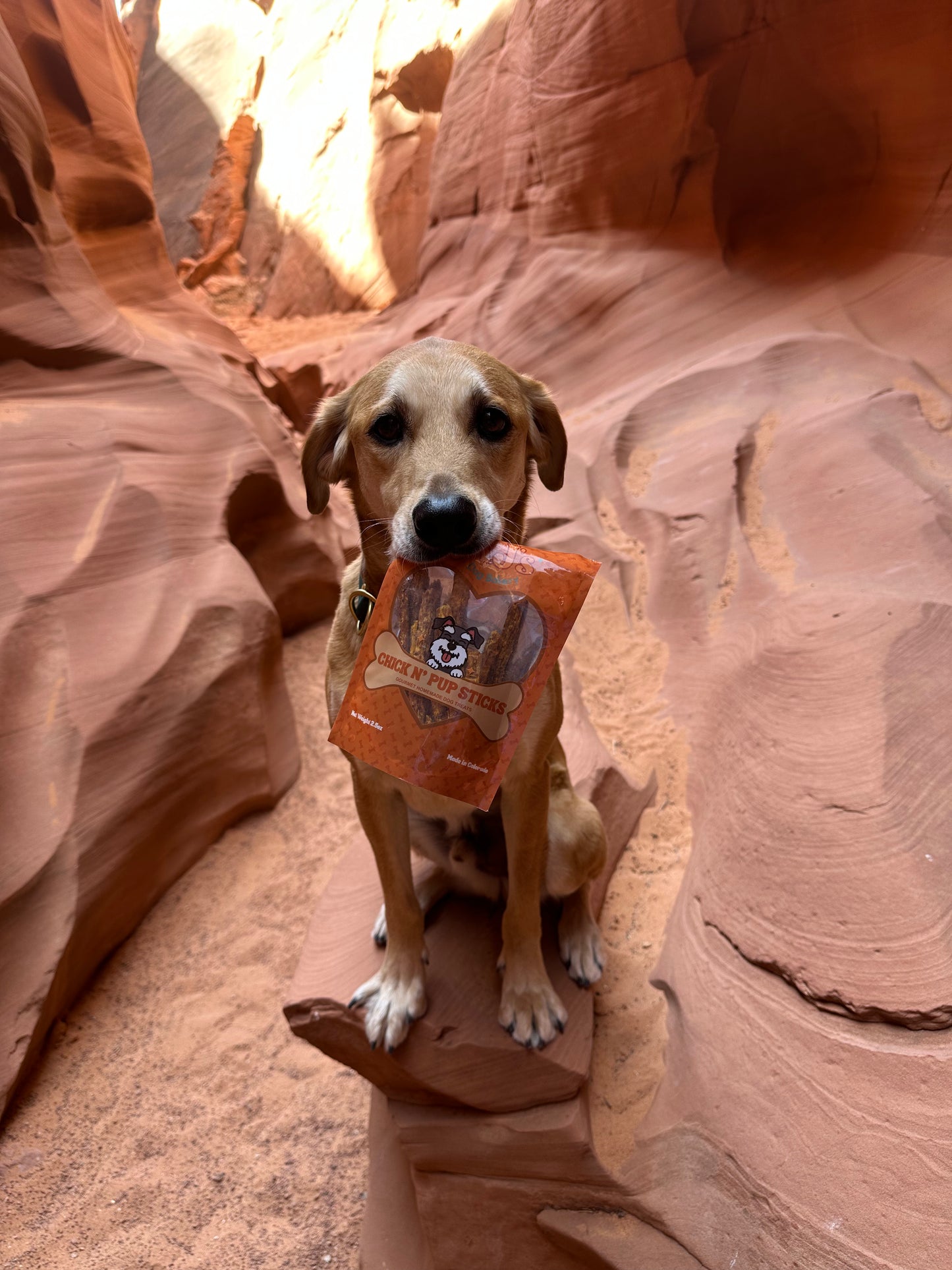 Chick N' Pupkin Sticks