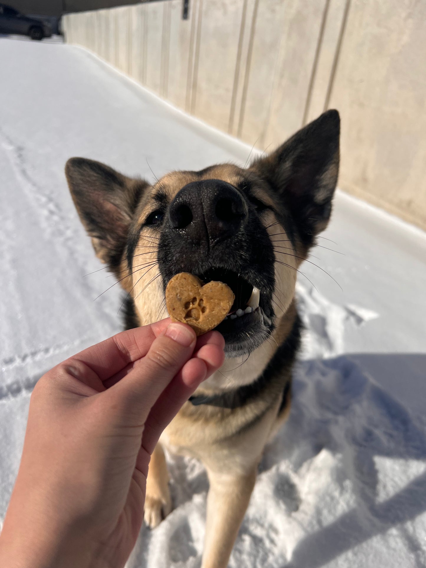 PB Hearts