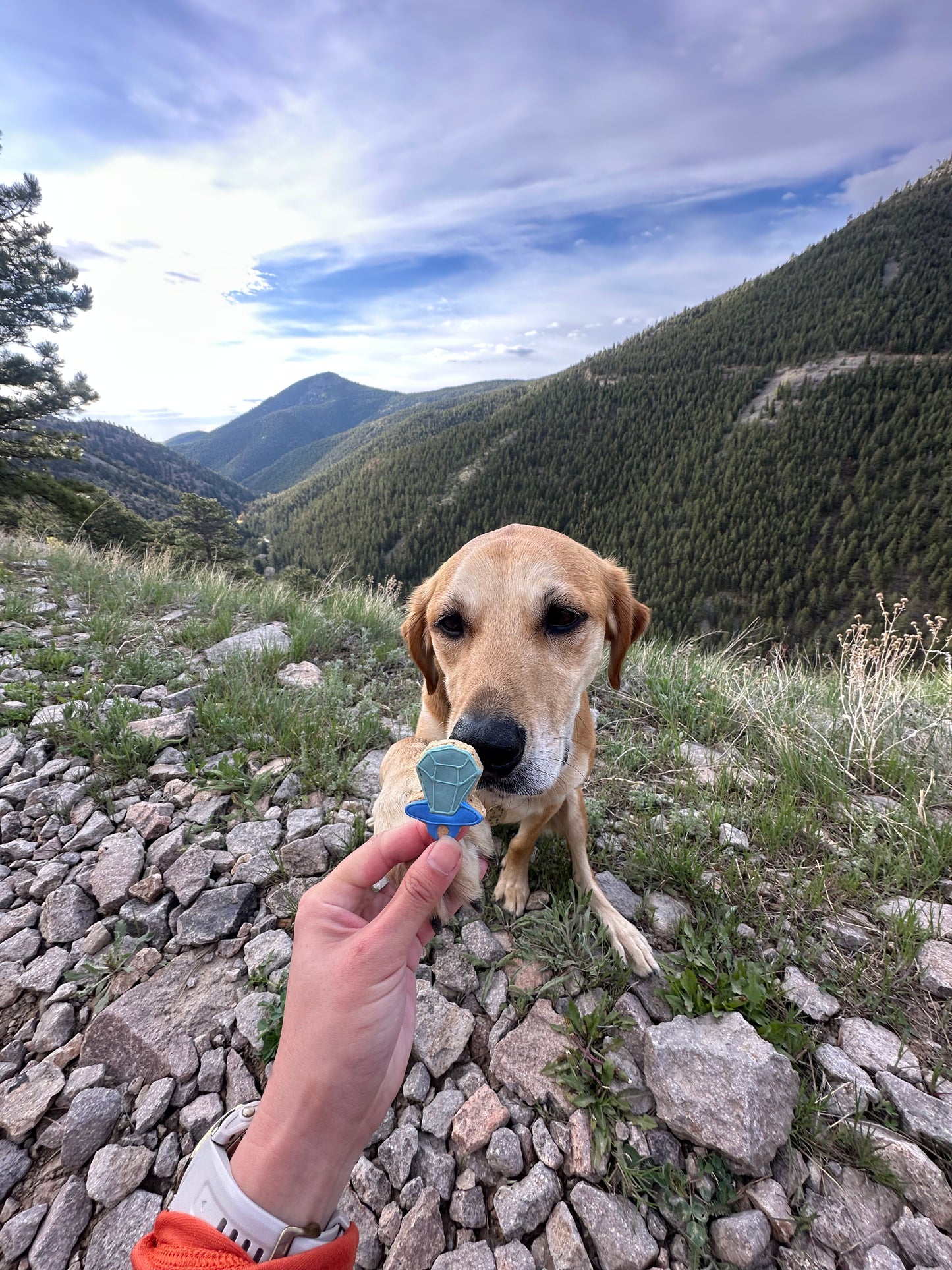 Pupper Pop