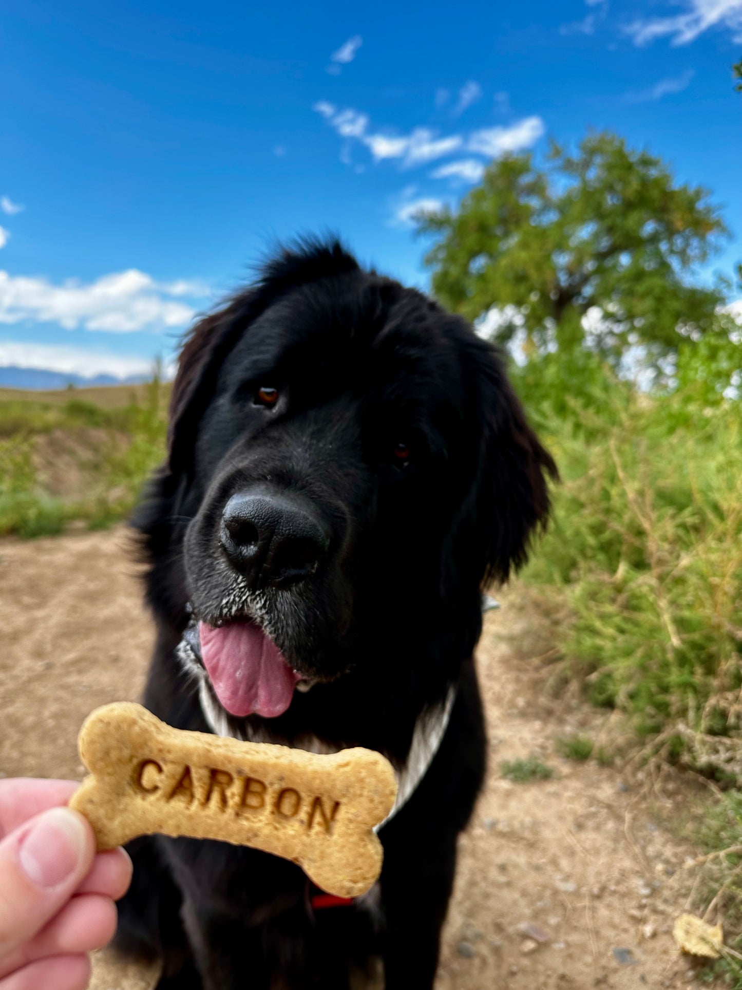 Custom Stamped Name Bones