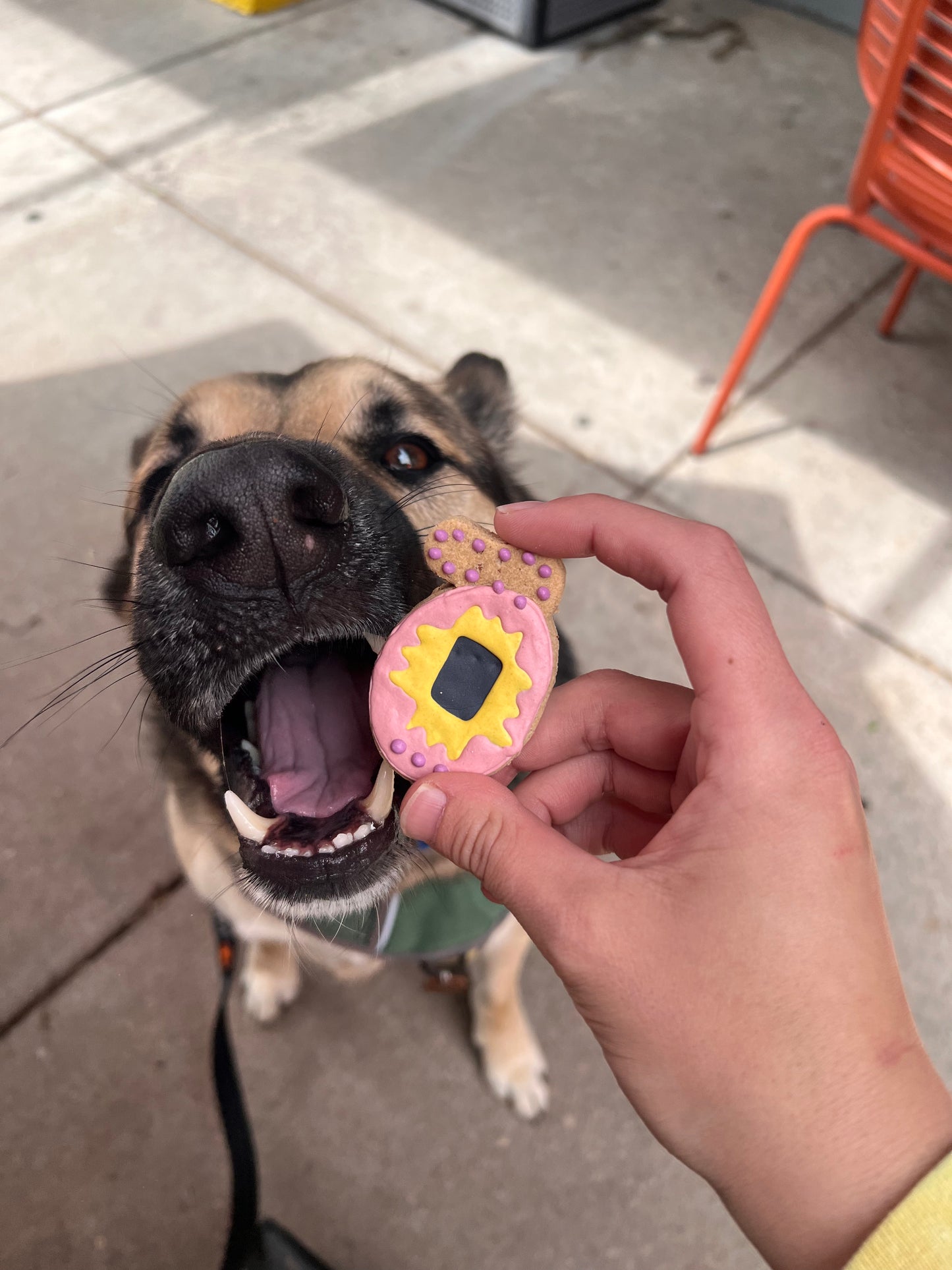 Treat-a-gotchi