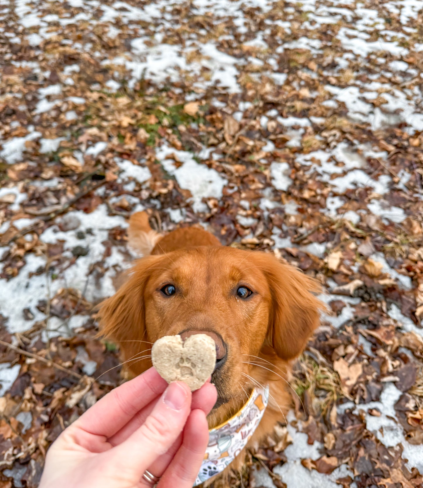 Minty Hearts