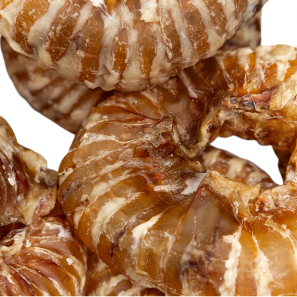 2”–4” Beef Trachea Rings