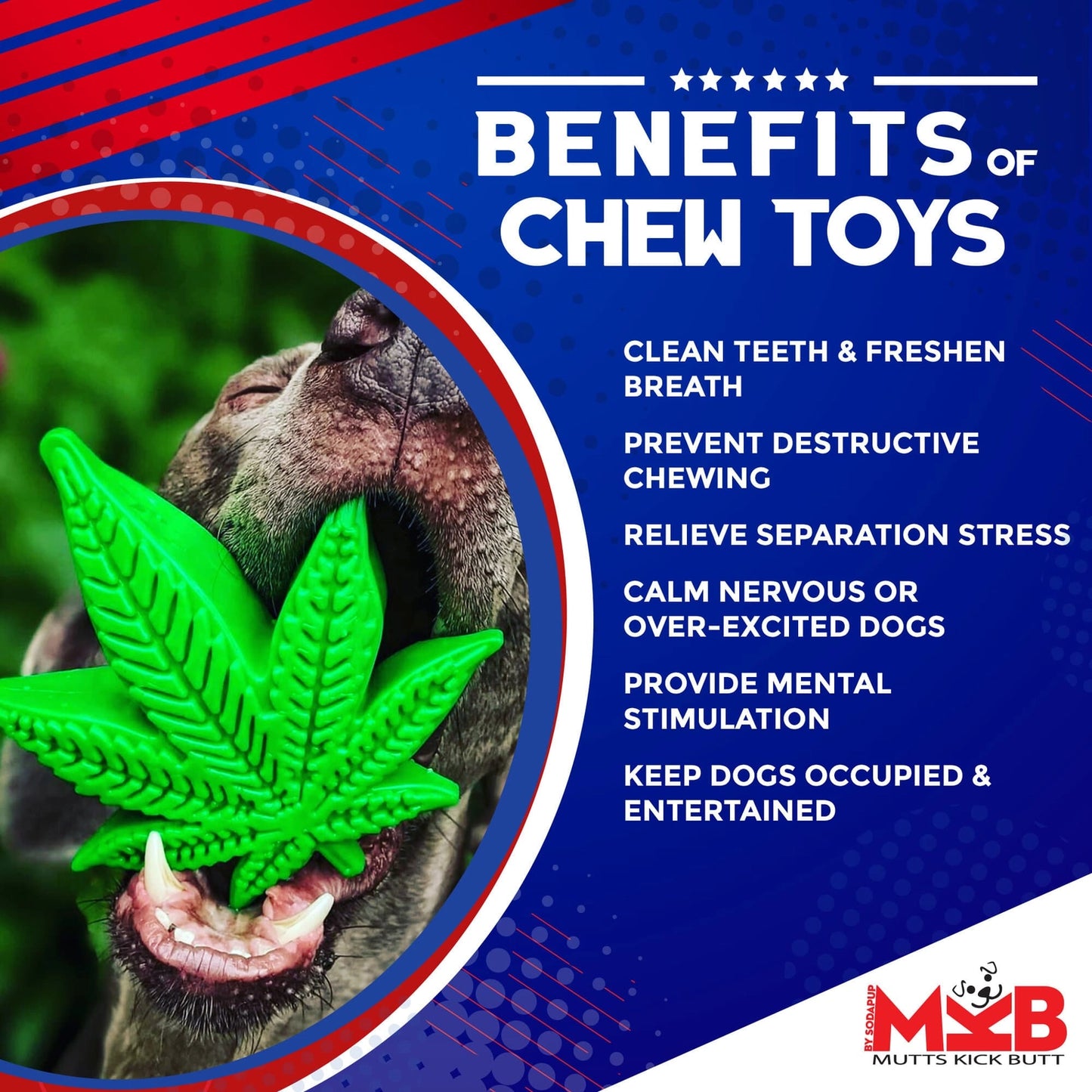 Colorado Maple Leaf Chew Toy