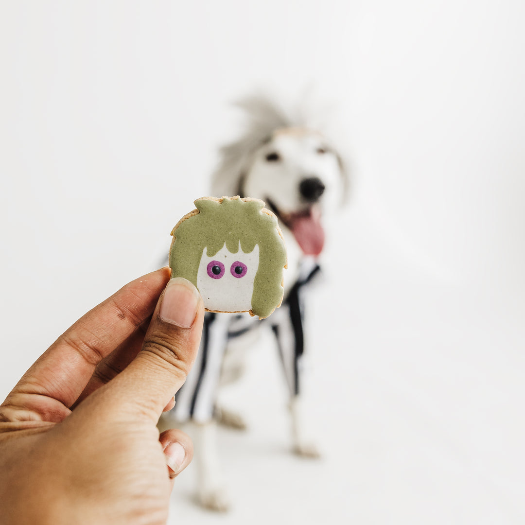 It's Showtime! Treat Pack