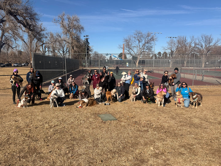 Recapping Our National Walk the Dog Day Event in Denver