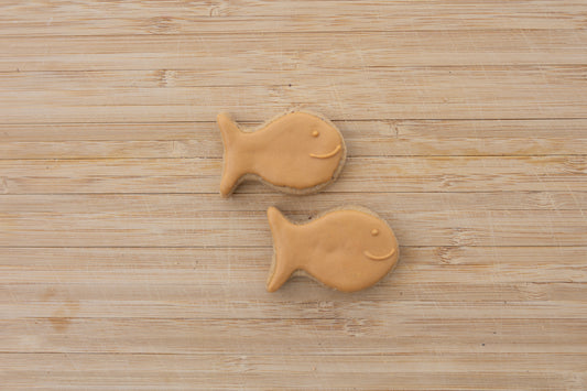 Fish 'n Fetch