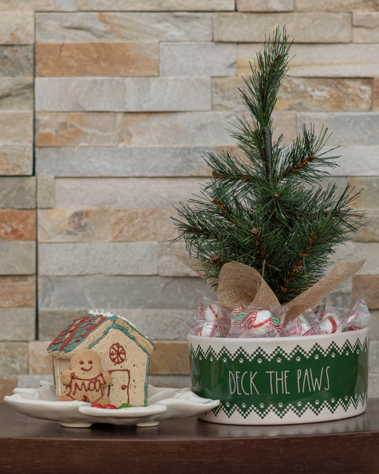 DIY Gingerbread Dog House Kit