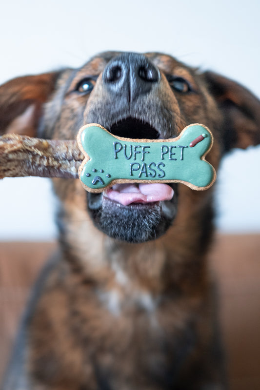 Puff Pet Pass