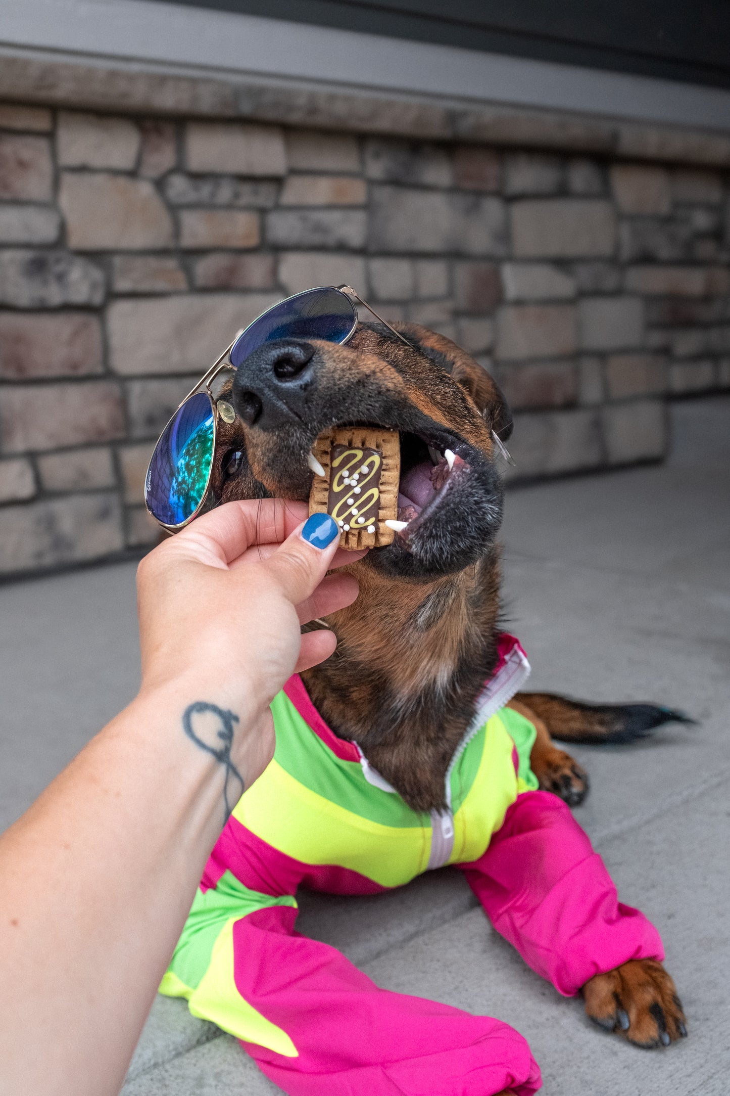 PupTarts