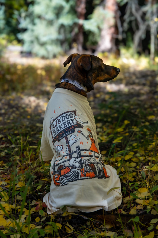 2025 Spooky Anniversary Ivory T-Shirt