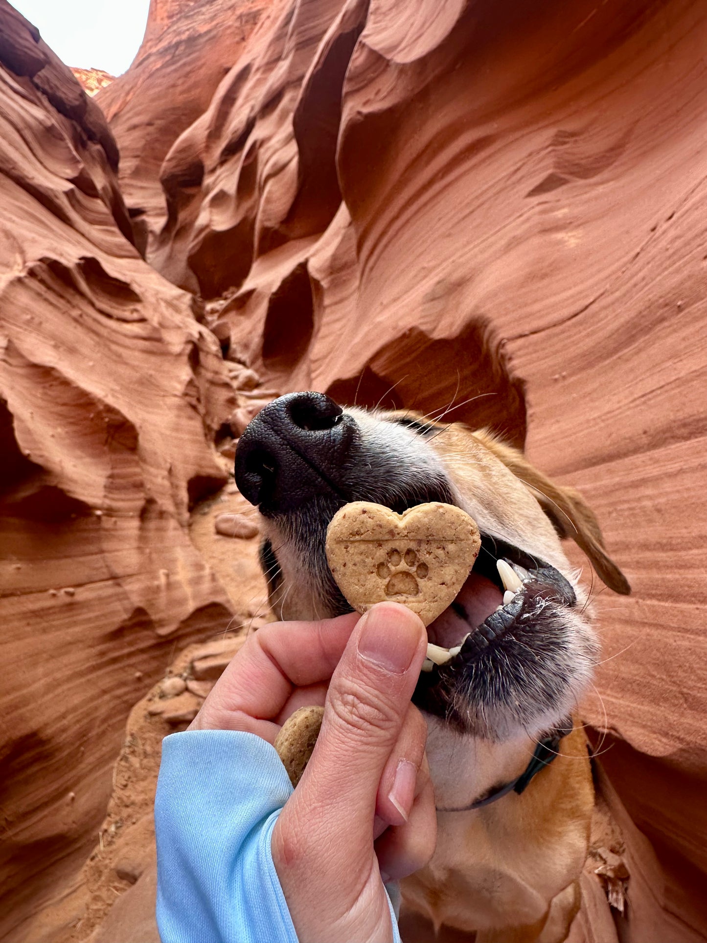 PB Hearts