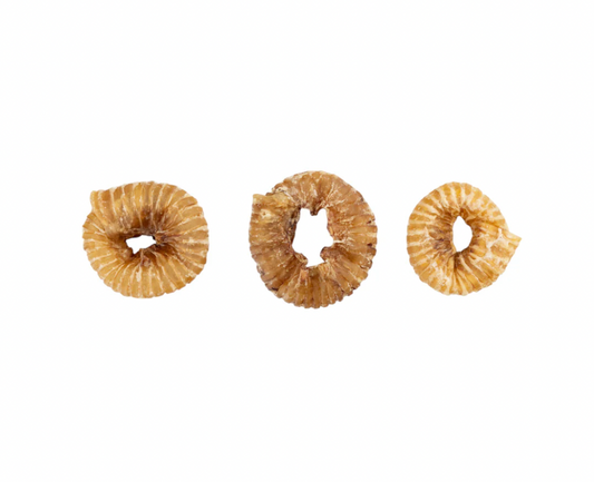 2”–4” Beef Trachea Rings