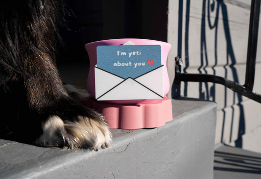 I'm Yeti About You Toppl Stopper+ Cookie Set