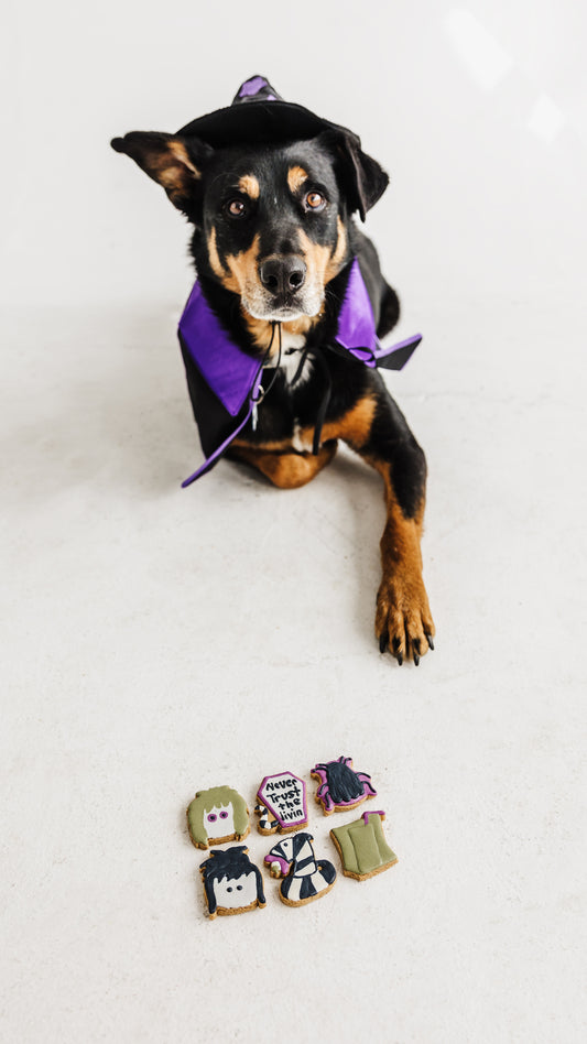 It's Showtime! Treat Pack
